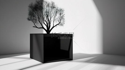 黑色木质开箱模型的 3D 渲染，靠在白墙上，有树影
