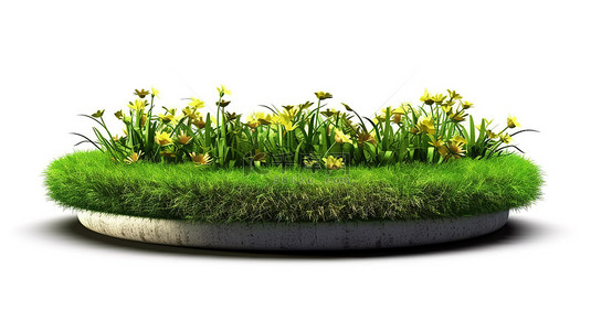 白色背景上有彩色花朵的圆形草原的孤立 3D 插图