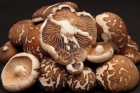 香菇背景图片_一堆蘑菇香菇