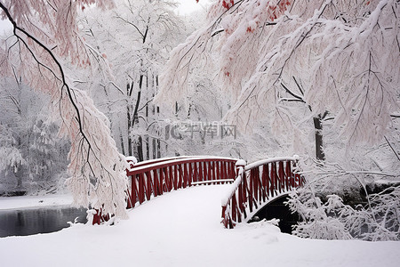 单向建桥背景图片_森林边缘树木旁的一座雪桥