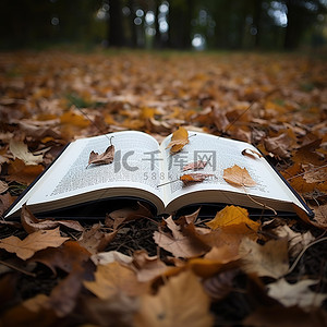 高清壁纸 书打开 秋天的落叶