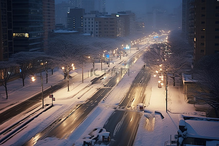 雪下路灯背景图片_城市雪下的道路