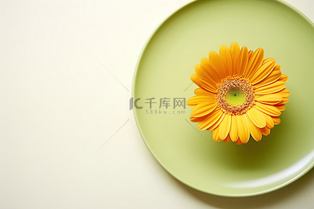 一朵黄色的花放在绿色的盘子里