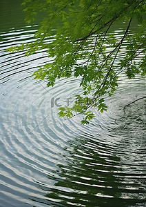 水面水中背景图片_水中的圆形图案