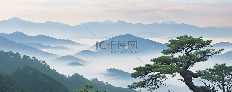松树站在山上俯瞰山谷