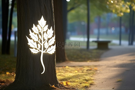 秋天贴纸背景图片_公园里的叶树，上面贴着白色的树贴纸