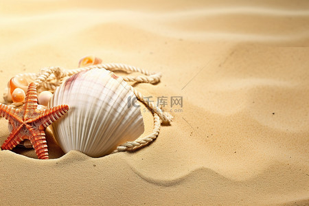 沙子里的贝壳和绳子的大小不同