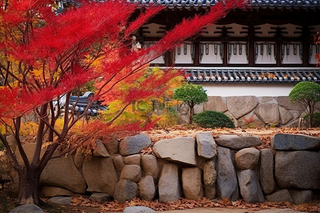 logo书院背景图片_曹庆台花园的房子风沙传统韩国石花园