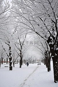 和牛雪花牛里脊背景图片_人行道旁的公园被雪和树木覆盖