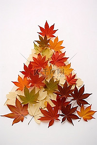 白色背景中秋天的树叶金字塔