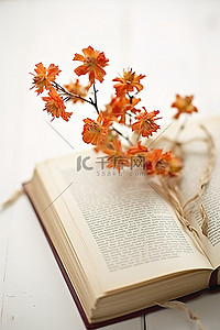 一本旧书上的橙色花