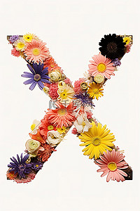 花朵排列成字母x的形状