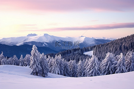 云树木背景图片_太阳落山时，一座白雪覆盖的山上覆盖着树木和雪