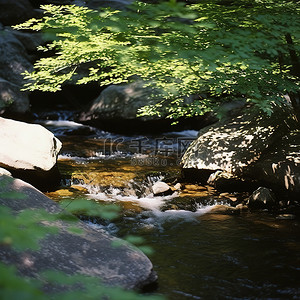 当阳光照耀时，一条小溪沿着巨石流过