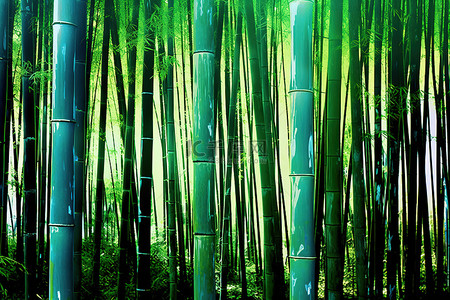 森林里的竹树