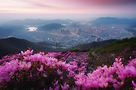 城市春天背景图片_鲜花生长在俯瞰城市的山上