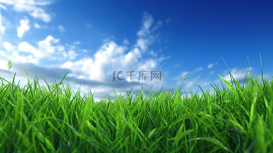 蓝天和郁郁葱葱的绿草背景的 3d 渲染