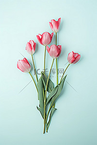植物香背景图片_茎中的粉红色花朵