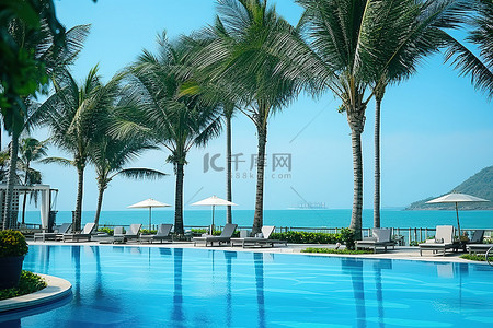 棕榈树背景图片_海滩度假村的豪华度假村，设有游泳池