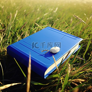 一本蓝色的书在田野的草地上
