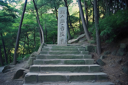 通往斯凯斯神庙的台阶上的石头和树