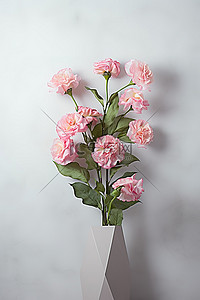 墙上有一个开着粉红色花朵的花瓶