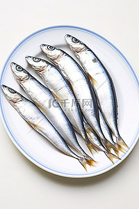 盘子鱼背景图片_盘子里的三个沙丁鱼