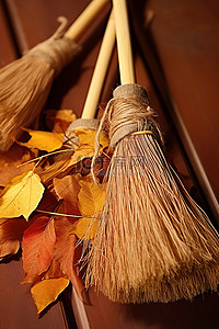 箩筛簸箕扫帚晒垫背景图片_秋天的树叶在扫帚里