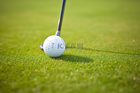 高尔夫球俱乐部在草地上拿着高尔夫球