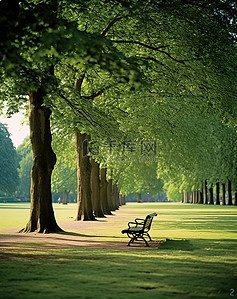 英国的背景图片_公园里的两张长凳