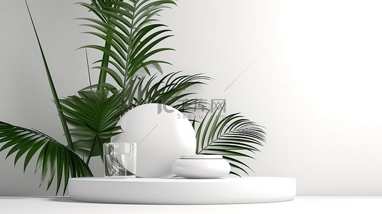 用于产品展示的白色空间工作室环境，在 3D 渲染的白色背景上放置石头和棕榈叶