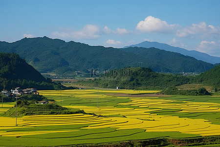 高铁铁背景图片_从山顶看稻田