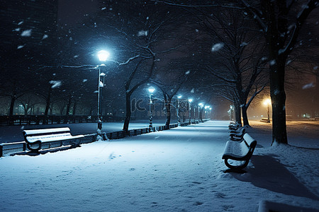 晚上的公园有树长凳和雪