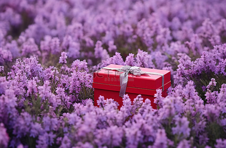 紫色花朵中间有一个成熟的盒子