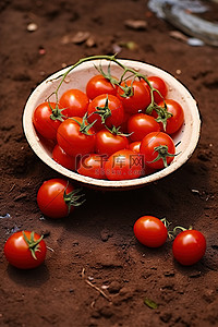 泥土地板上碗里的西红柿