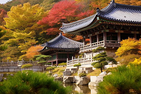 秋天人背景图片_色彩缤纷的秋天树木环绕着韩国宫殿