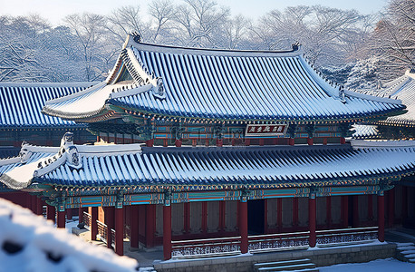 雪中​​韩国建筑的景色