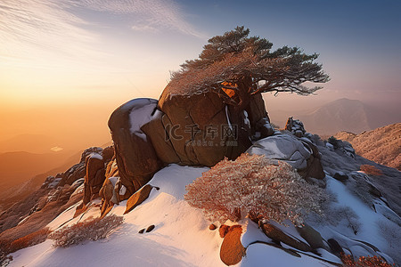 山顶上有一块岩石，上面有一棵大雪覆盖的树