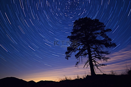 夜晚，星星在一棵孤独的树上留下痕迹