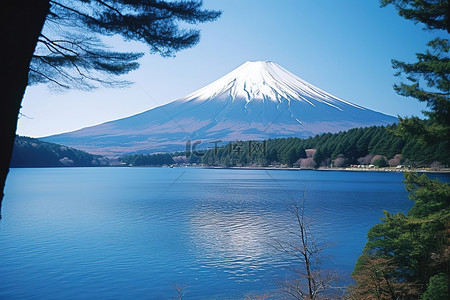 透过树林看到富士山