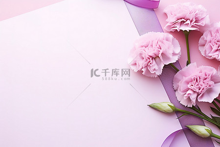 粉红色康乃馨和粉红色背景上的纸