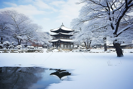 池塘和雪在树下 韩国 韩国 韩国 照片来自 flickr