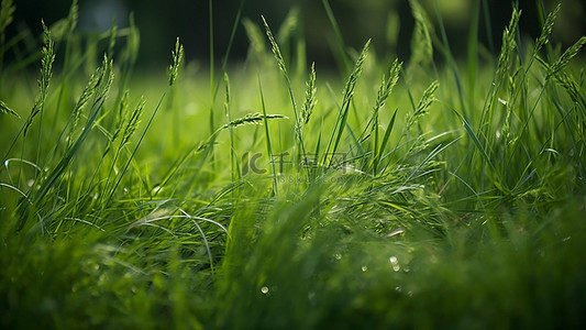 卡通草地和小花背景图片_草地植物户外绿色