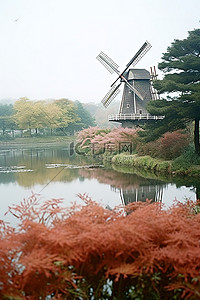 池塘边背景图片_风车在池塘边