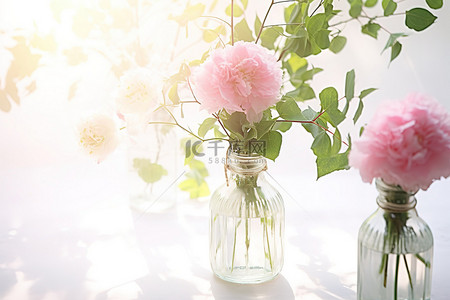插花玻璃瓶背景图片_两个装满粉红色花朵的玻璃瓶
