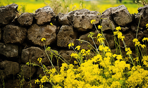 黄色背景花朵背景图片_黄色的花朵和周围黄色花朵的石栅栏