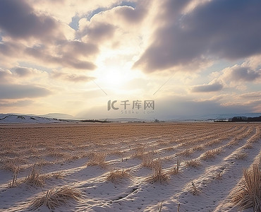 雪小麦背景图片_冬天的小麦 Gyodong 雪 时间流逝