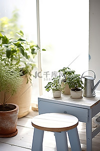 软化水箱背景图片_浇水箱木凳和盆栽植物