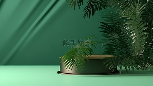 棕榈背景背景图片_绿色背景与棕榈阴影 3D 抽象圆柱讲台产品场景