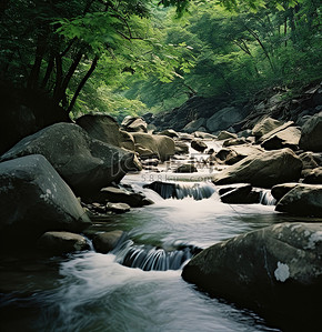 古诗瀑布背景图片_一条小溪流过散布在树林里的巨石